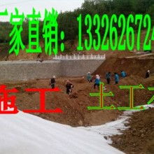 山東土工材料生產廠 專注于土工格柵、玻璃纖維格柵及土工針刺地毯的制造